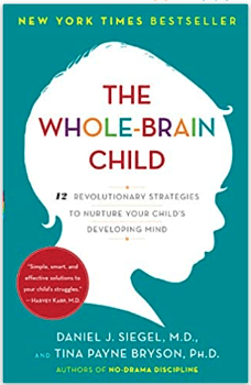 Book on developing a child's entire brain